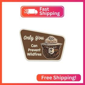 Av 40277 Smokey Bear Brown Sign Shaped Only You Can Prevent Wildfires Sticker Smoky Deca