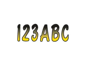 11-6207 Hardline 1573405 Series 200 Registration Kit Yellow/black Pwc Jet Ski