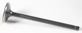80-80060 Kpmi - Black Diamond Intake Valve