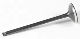 80-80075 Kpmi - Black Diamond Intake Valve