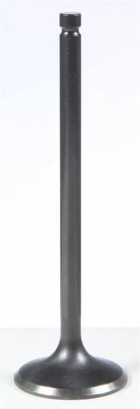82-82055 Kpmi - Black Diamond Exhaust Valve
