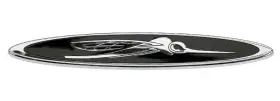 82202189 Nos Skeeter Oval Team Bug Emblem Oem Chrome/black Early 2000