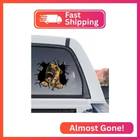 Mgyy9a8paw Petpalstickers Vinyl Dog Stickers - Belgian Malinois Car Decals For Women And Lovers
