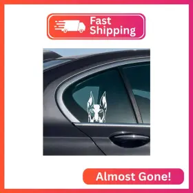 Carwdecal6-a7061 Wirester 6 Inch Clear Vinyl Decal Sticker Decoration For Car Window Or Any Flat