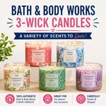 Bath & Body Works 3-WICK Candles You Pick Discontinued/seasonal Scents New. Price: $24.99.