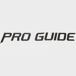 Lund Boat Model Decal 2339256 Pro Guide Dark Silver Sticker New. Price: $20.06.