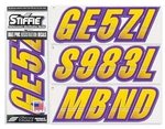 Stiffie Techtron TT49 Boat Pwc Letter Number Decal Registration Yellow Purple New. Price: $23.95.