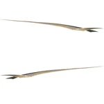 Crownline Boat Graphic Decal 22003 119 X 5 Inch Metallic Gold (2PC) New. Price: $159.71.