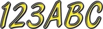 Hardline Series Registration Kit YEBKG400 New. Price: $23.94.