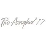 Lund Boat Brand Decal 1988321 Pro-angler 17 Silver 27 1/2 Inch New. Price: $15.03.