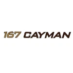Ranger Boat Raised Decal 9891353 167 Cayman Brown Gold New. Price: $15.57.