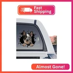 Petpalstickers Cute Dog For Car Window Decals Waterproof Funny New. Price: $22.06.
