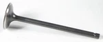 Kpmi 191-14013 80-80060 Black Diamond Intake Valve New. Price: $54.95.
