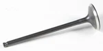 Kpmi 80-80075 Black Diamond Intake Valve New. Price: $46.21.