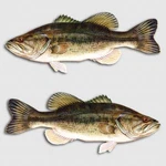 Largemouth Fishing Decal Set Bassmaster Truck Window Boat Tackle Sticker New. Price: $64.99.