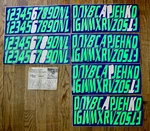 Stiffie Kawasaki Jet Ski Letters And Numbers Decal Set Used. Price: $77.50.
