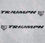Oem Larson Boat Decal 8638 /9348 1700 Skiff Triumph (set Of 2) New Oracle. Price: $147.99.