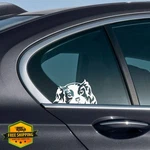 Wirester Cavalier King Charles Dog Car Window Decal Sticker 6 Inch New. Price: $20.00.