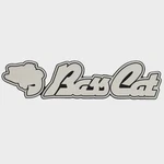 Bass Cat Boat Raised Trailer Decal Sticker 33085 Silver White Black New. Price: $22.77.