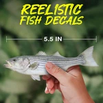 Striped Bass Vinyl Decal Uv Waterproof Outdoor Sticker For Boat, Truck -more New. Price: $5.95.