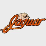 Bass Cat Boat Raised Brand Decal Jaguar Orange Holographic Sticker New. Price: $11.01.